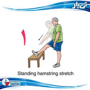standing hamstring stretch